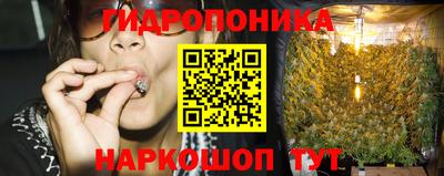 прущие крисы Донецк