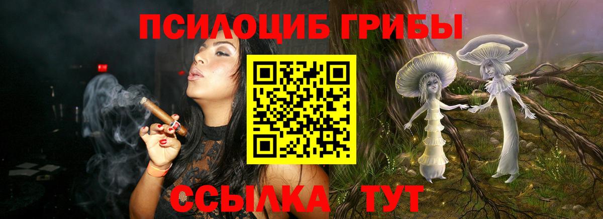 Псилоцибиновые грибы Magic Shrooms  Вход с VPN  Псков  сколько стоит  Галлюциногенные грибы MAGIC MUSHROOMS 