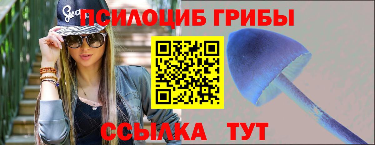 Псилоцибиновые грибы Psilocybe Псков